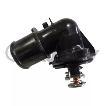 Thermostat, liquide de refroidissement CAUTEX OEM 68253514AA