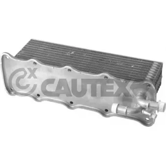 CAUTEX 760765 - Intercooler, échangeur