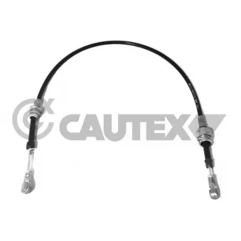 CAUTEX 763273 - Tirette à câble, boîte de vitesse manuelle