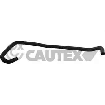 CAUTEX 764764 - Durite de radiateur