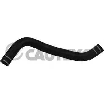 CAUTEX 765001 - Durite de radiateur
