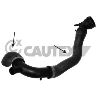 CAUTEX 765146 - Durite de radiateur
