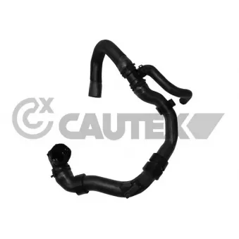 CAUTEX 765165 - Durite de radiateur