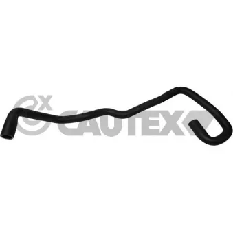 CAUTEX 765290 - Durite de radiateur