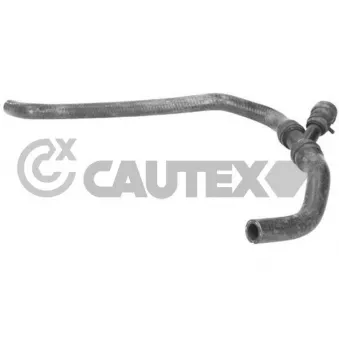 CAUTEX 765406 - Durite de radiateur