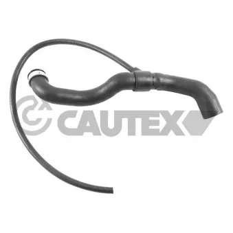 Durite de radiateur CAUTEX OEM A2035010782