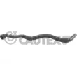 Durite de radiateur CAUTEX [765528]