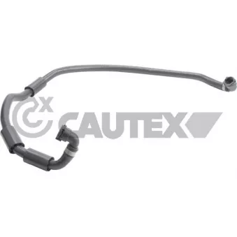 CAUTEX 765529 - Durite de radiateur