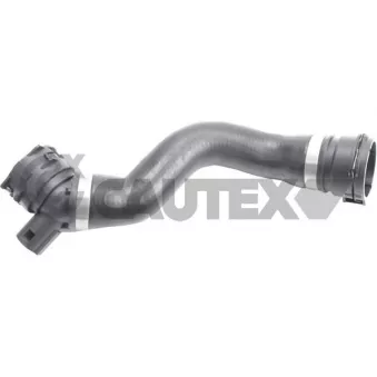 CAUTEX 765538 - Durite de radiateur