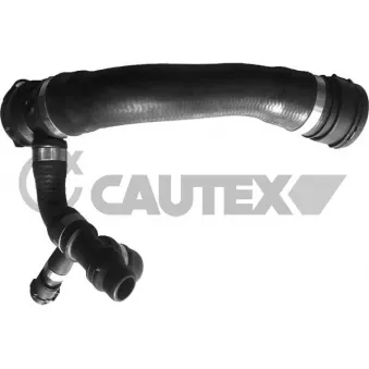 Durite de radiateur CAUTEX [765640]