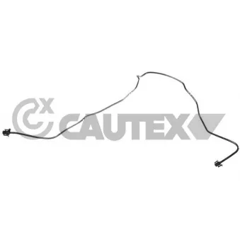 CAUTEX 766587 - Durite de radiateur