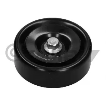 Poulie renvoi/transmission, courroie trapézoïdale à nervures CAUTEX OEM 252862B010
