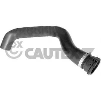 Durite de radiateur CAUTEX 766974