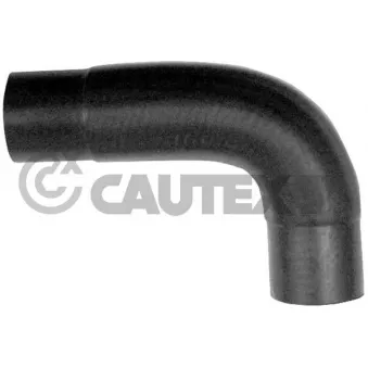 CAUTEX 766981 - Durite de radiateur