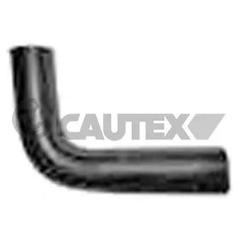 CAUTEX 767000 - Durite de radiateur