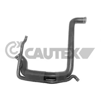 CAUTEX 767031 - Durite de radiateur
