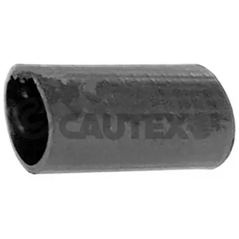 Durite de radiateur CAUTEX 767100