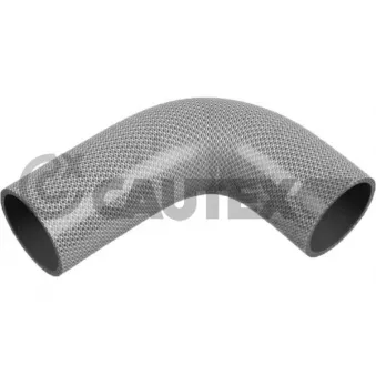 CAUTEX 767132 - Durite de radiateur