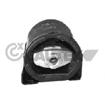 Suspension, boîte automatique CAUTEX 767232