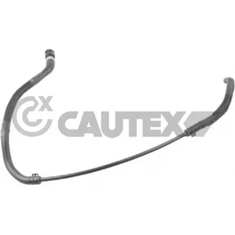 CAUTEX 767481 - Durite de radiateur