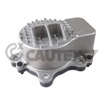 Pompe à eau, refroidissement du moteur CAUTEX 768125