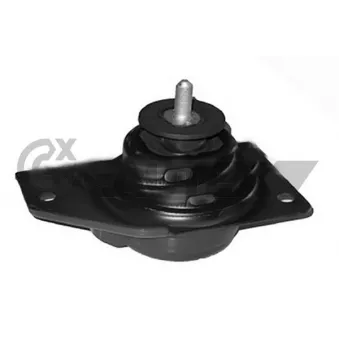 Support moteur CAUTEX OEM 218101G100