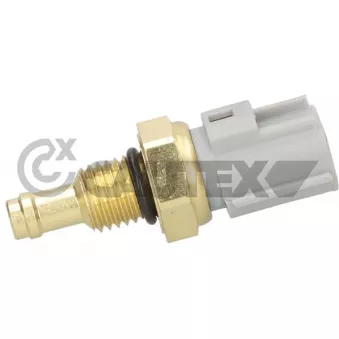 CAUTEX 769373 - Capteur, température de carburant