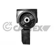 CAUTEX 769437 - Support moteur