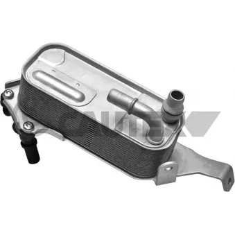 Radiateur d'huile CAUTEX OEM 17217593856