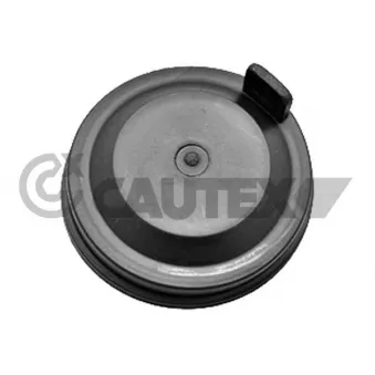 Revêtement, phare CAUTEX 769574