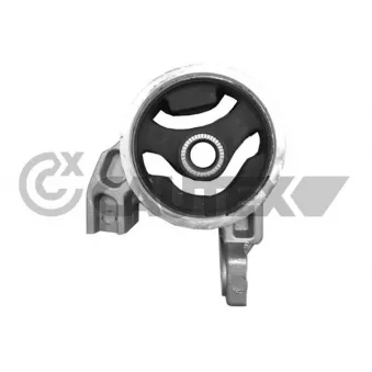Support moteur CAUTEX OEM 219101G250