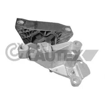 CAUTEX 769767 - Support moteur