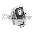 CAUTEX 769803 - Support moteur