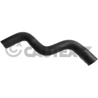 CAUTEX 769958 - Durite de radiateur