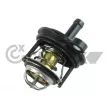 CAUTEX 770218 - Thermostat, liquide de refroidissement