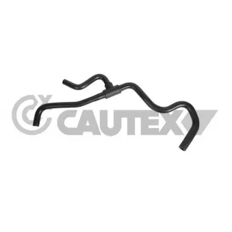 CAUTEX 770337 - Durite de radiateur