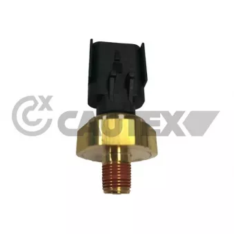 CAUTEX 770462 - Capteur, pression des gaz échappement