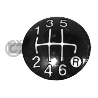 Pommeau CAUTEX 770563