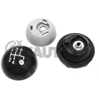 Pommeau CAUTEX 770565