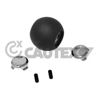 Pommeau CAUTEX 770635