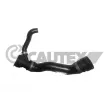 CAUTEX 770784 - Durite de radiateur