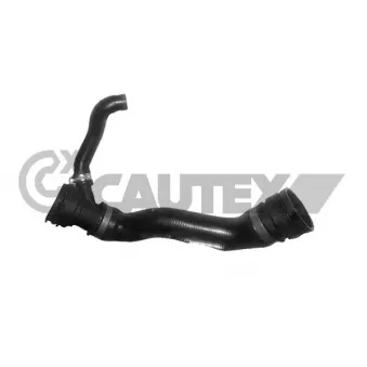 Durite de radiateur CAUTEX 770784