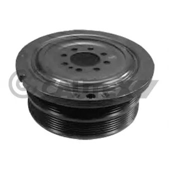 Poulie, vilebrequin CAUTEX OEM 11237568345