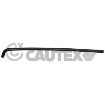 CAUTEX 770889 - Durite de radiateur