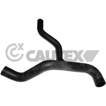 CAUTEX 770921 - Durite de radiateur