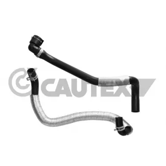 Durite de radiateur CAUTEX OEM 7T169Y438AB