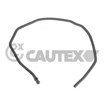 Durite de radiateur CAUTEX 771613