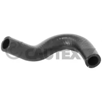 CAUTEX 771660 - Durite de radiateur