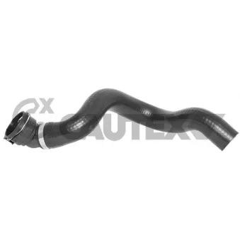 Durite de radiateur CAUTEX 771669