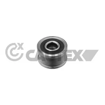 Poulie roue libre, alternateur CAUTEX OEM 8200229907